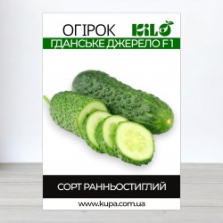 Семена огурца Гданьский Родник F1, 0,5 кг